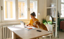 Person searching the web