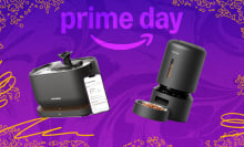 Splashy prime day background with a cat water fountain and a water feeder