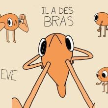 an orange fish named steve