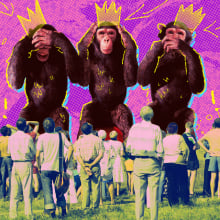 three monkeys being watched by a crowd of people