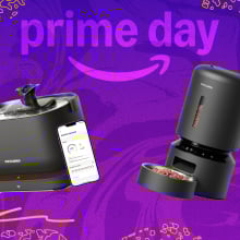 Splashy prime day background with a cat water fountain and a water feeder
