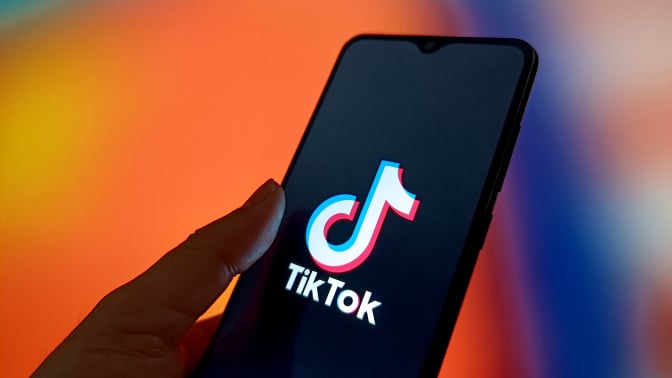 TIKTOK logo displayed in a smartphone