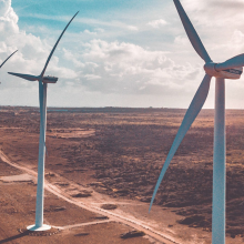 field of wind turbines